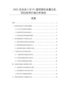 2025及未來5年P(guān)U透明彈性體灌注機(jī)項(xiàng)目投資價(jià)值分析報(bào)告
