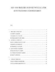2025-2030物流運輸行業(yè)效率提升研究及無人駕駛技術應用前景探索與發(fā)展規(guī)劃實施報告