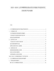 2025-2030大洋洲聯(lián)盟旅遊產(chǎn)業(yè)市場競爭現(xiàn)狀研究及投資評估規(guī)劃