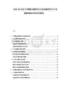 2025至2030中國激光微穿孔行業(yè)發(fā)展研究與產(chǎn)業(yè)戰(zhàn)略規(guī)劃分析評(píng)估報(bào)告