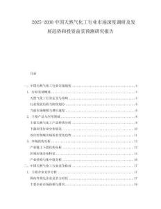 2025-2030中國天然氣化工行業(yè)市場深度調(diào)研及發(fā)展趨勢和投資前景預(yù)測研究報告