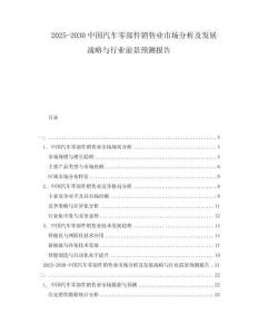 2025-2030中國(guó)汽車零部件銷售業(yè)市場(chǎng)分析及發(fā)展戰(zhàn)略與行業(yè)前景預(yù)測(cè)報(bào)告