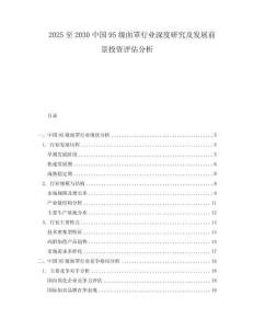 2025至2030中國95級面罩行業(yè)深度研究及發(fā)展前景投資評估分析