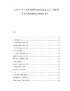 2025-2030工業(yè)互聯(lián)網(wǎng)平臺(tái)標(biāo)準(zhǔn)化建設(shè)及行業(yè)解決方案落地與價(jià)值實(shí)現(xiàn)分析報(bào)告