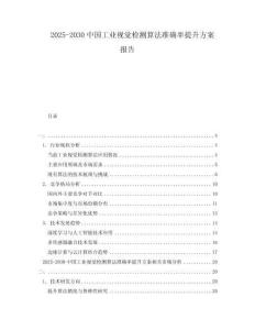 2025-2030中國(guó)工業(yè)視覺(jué)檢測(cè)算法準(zhǔn)確率提升方案報(bào)告