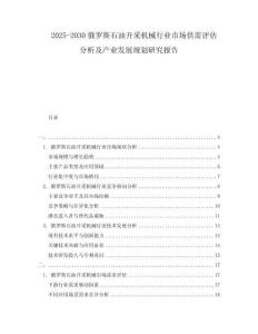 2025-2030俄羅斯石油開采機(jī)械行業(yè)市場供需評估分析及產(chǎn)業(yè)發(fā)展規(guī)劃研究報告