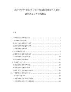 2025-2030中國投資行業(yè)市場現(xiàn)狀金融分析及融資評估規(guī)劃分析研究報告