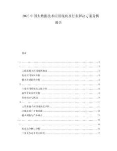 2025中國大數(shù)據(jù)技術(shù)應(yīng)用現(xiàn)狀及行業(yè)解決方案分析報(bào)告