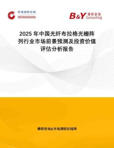 2025年中國光纖布拉格光柵陣列行業(yè)市場前景預(yù)測及投資價值評估分析報告