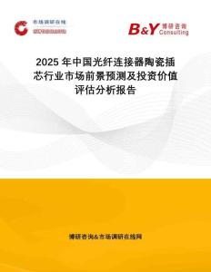 2025年中國(guó)光纖連接器陶瓷插芯行業(yè)市場(chǎng)前景預(yù)測(cè)及投資價(jià)值評(píng)估分析報(bào)告
