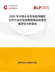 2025年中國(guó)公共充電樁用磁性元件行業(yè)市場(chǎng)前景預(yù)測(cè)及投資價(jià)值評(píng)估分析報(bào)告
