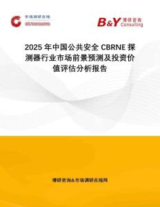 2025年中國(guó)公共安全CBRNE探測(cè)器行業(yè)市場(chǎng)前景預(yù)測(cè)及投資價(jià)值評(píng)估分析報(bào)告