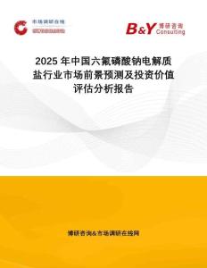2025年中国六氟磷酸钠电解质盐行业市场前景预测及投资价值评估分析报告
