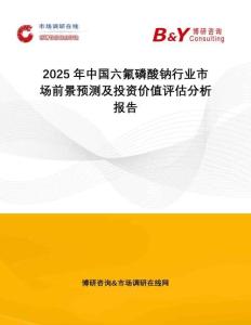 2025年中国六氟磷酸钠行业市场前景预测及投资价值评估分析报告