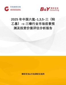 2025年中國六氫-135-三（羥乙基）-s-三嗪行業(yè)市場前景預(yù)測及投資價值評估分析報告