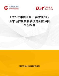 2025年中國六角一字槽螺絲行業(yè)市場前景預(yù)測及投資價值評估分析報告
