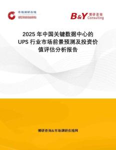 2025年中國關鍵數據中心的UPS行業(yè)市場前景預測及投資價值評估分析報告