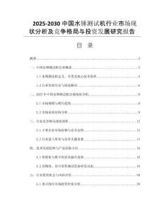 2025-2030中國水錘測試機行業(yè)市場現(xiàn)狀分析及競爭格局與投資發(fā)展研究報告