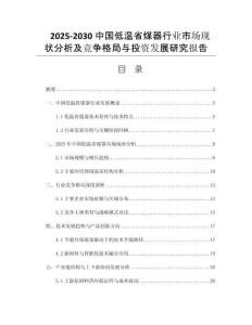 2025-2030中國低溫省煤器行業(yè)市場現(xiàn)狀分析及競爭格局與投資發(fā)展研究報告