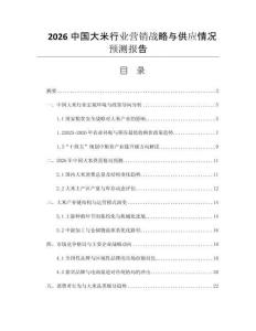 2026中國大米行業(yè)營銷戰(zhàn)略與供應(yīng)情況預(yù)測報(bào)告