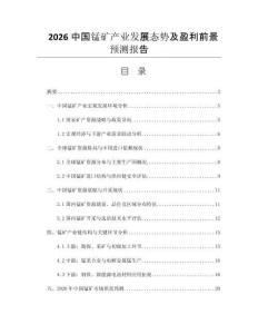 2026中國錳礦產(chǎn)業(yè)發(fā)展態(tài)勢及盈利前景預(yù)測報(bào)告