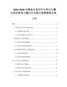 2025-2030中國在線支付行業(yè)市場發(fā)展現(xiàn)狀分析及發(fā)展趨勢(shì)與投資前景研究報(bào)告