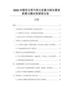 2026中國可視耳勺市場全景調(diào)研與需求前景規(guī)模分析研究報(bào)告
