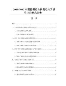2025-2030中國壁櫥行業(yè)供需趨勢及投資風(fēng)險(xiǎn)研究報(bào)告