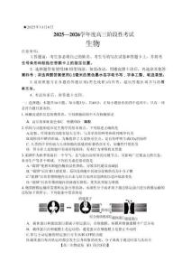 河南省三門峽市2025—2026學年度高三階段性考試生物（含答案）