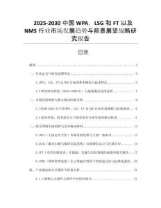 2025-2030中國WPA，LSG和FT以及NMS行業(yè)市場(chǎng)發(fā)展趨勢(shì)與前景展望戰(zhàn)略研究報(bào)告