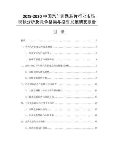 2025-2030中國汽車鑰匙芯片行業(yè)市場現(xiàn)狀分析及競爭格局與投資發(fā)展研究報(bào)告