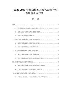 2025-2030中國海相地層油氣勘探行業(yè)最新度研究報告