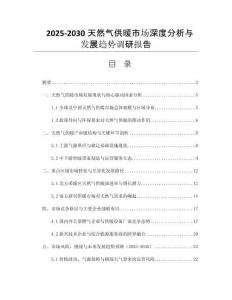2025-2030天然氣供暖市場深度分析與發(fā)展趨勢調(diào)研報告