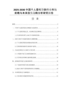 2025-2030中國個人委托貸款行業(yè)市場前瞻與未來投資戰(zhàn)略分析研究報告