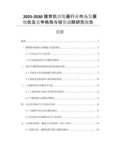 2025-2030腰背肌訓(xùn)練器行業(yè)市場發(fā)展現(xiàn)狀及競爭格局與投資戰(zhàn)略研究報告