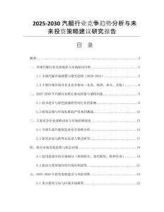 2025-2030汽艇行業(yè)競爭趨勢分析與未來投資策略建議研究報告