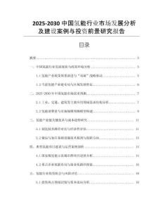 2025-2030中國氫能行業(yè)市場發(fā)展分析及建設(shè)案例與投資前景研究報告
