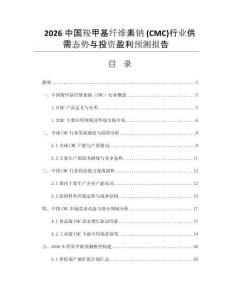 2026中國羧甲基纖維素鈉 (CMC)行業(yè)供需態(tài)勢與投資盈利預(yù)測報告