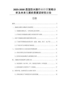 2025-2030透濕防水膜行業(yè)經(jīng)營(yíng)策略分析及未來(lái)發(fā)展前景展望研究報(bào)告