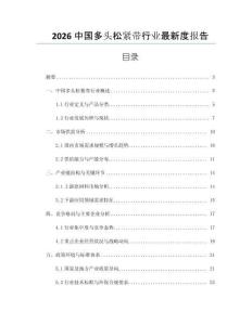 2026中國多頭松緊帶行業最新度報告
