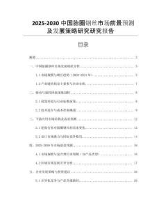 2025-2030中國胎圈鋼絲市場前景預(yù)測及發(fā)展策略研究研究報告
