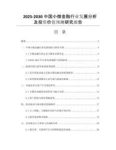 2025-2030中國(guó)小微金融行業(yè)發(fā)展分析及投資價(jià)值預(yù)測(cè)研究報(bào)告