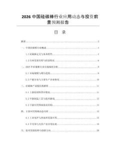 2026中國硅碳棒行業(yè)應用動態(tài)與投資前景預測報告