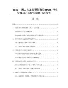 2026中國(guó)二鹽基性硬脂酸鉛 (DBLS)行業(yè)發(fā)展動(dòng)態(tài)與投資前景預(yù)測(cè)報(bào)告