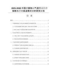 2025-2030中國(guó)彈簧制動(dòng)氣室行業(yè)經(jīng)營(yíng)策略與營(yíng)銷渠道模式分析研究報(bào)告