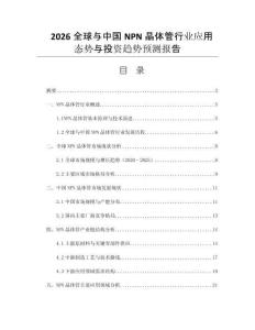 2026全球與中國NPN晶體管行業(yè)應用態(tài)勢與投資趨勢預測報告