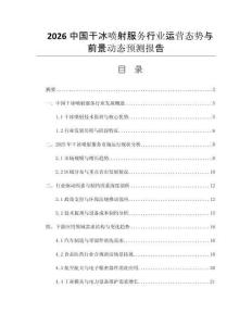 2026中國干冰噴射服務(wù)行業(yè)運營態(tài)勢與前景動態(tài)預(yù)測報告