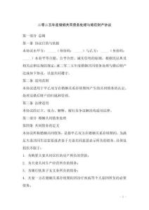 二零二五年度婚姻共同債務(wù)處理與婚后財(cái)產(chǎn)協(xié)議