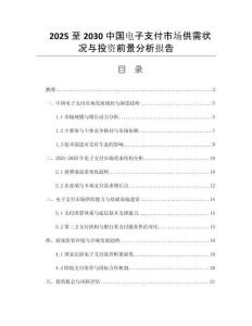 2025至2030中國電子支付市場供需狀況與投資前景分析報告