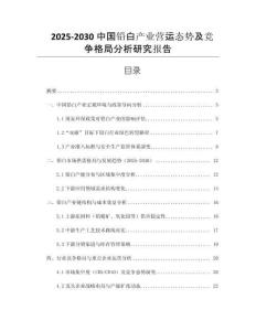 2025-2030中國鉛白產(chǎn)業(yè)營運(yùn)態(tài)勢及競爭格局分析研究報告